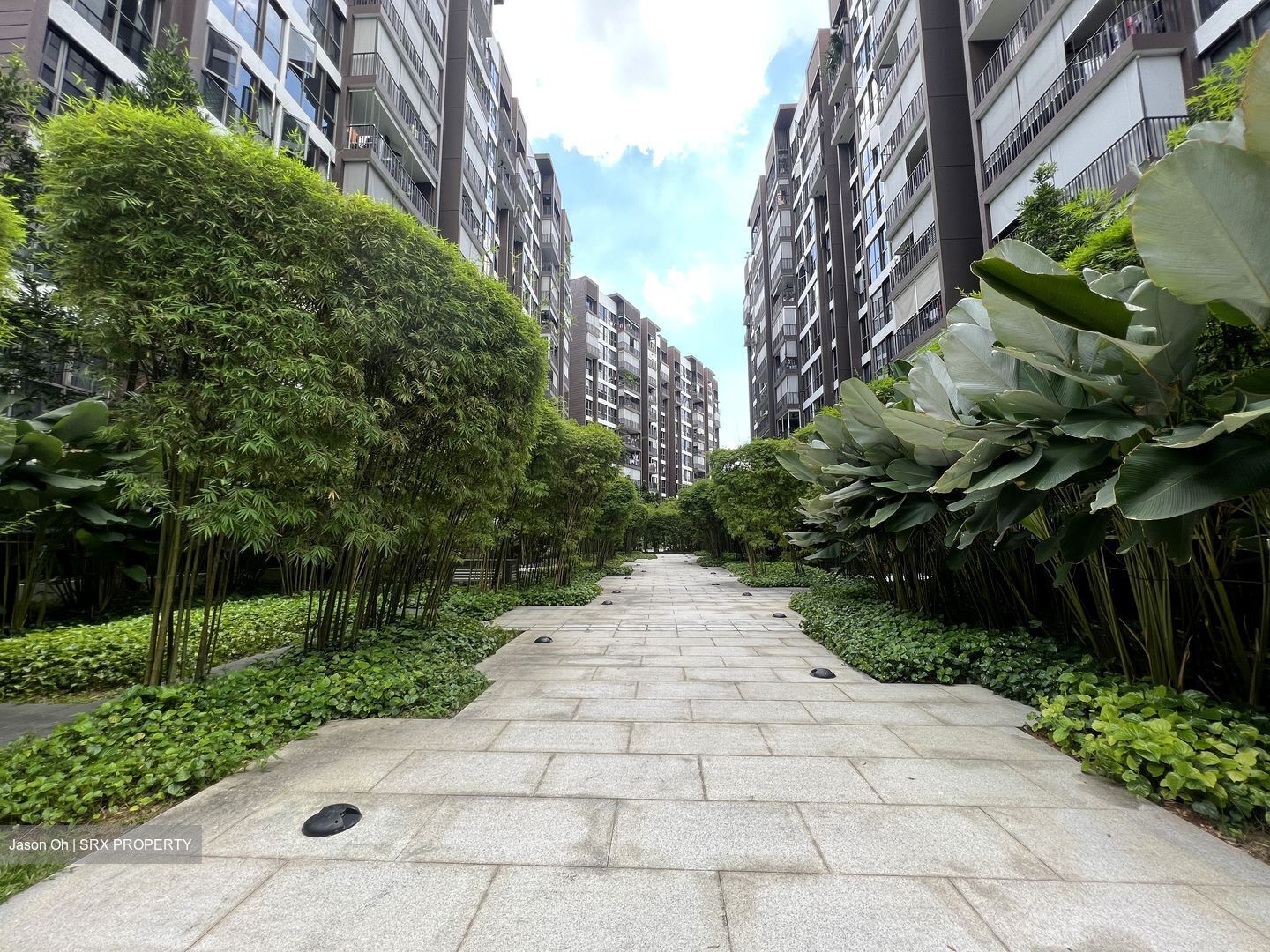 Bellewoods (D25), Condominium #593674111